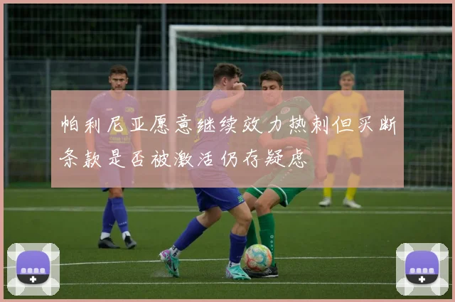 帕利尼亚愿意继续效力热刺但买断条款是否被激活仍存疑虑
