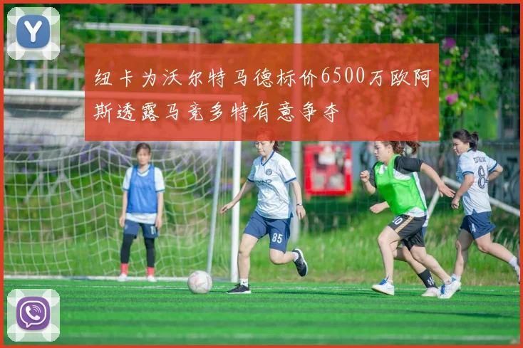 纽卡为沃尔特马德标价6500万欧阿斯透露马竞多特有意争夺